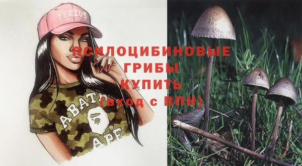 spice Вязники