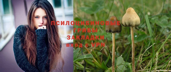 apvp Володарск