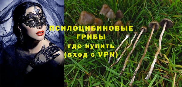 apvp Володарск